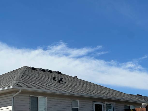 Best Roof Insulation Installation  in Menonee, MI